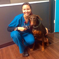 Ashley Perez Veterinary Receptionist and Assistant